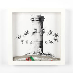 Walled off Hotel box set