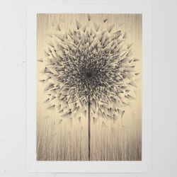 Smashed Dandy (gold)