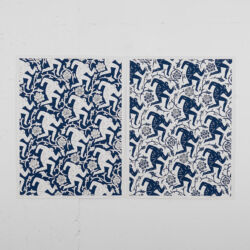 Pattern of corruption (blue white)