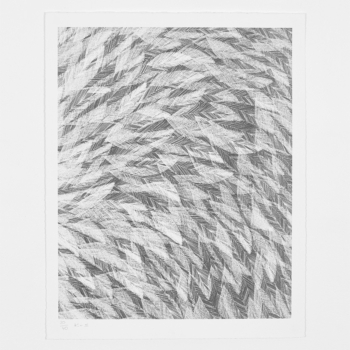 Feathers