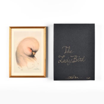 Lady Bird (framed)
