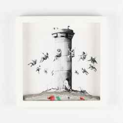 Walled off Hotel box set