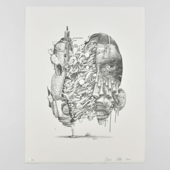 Brusk - Bom.K - Gris 1 (DMV)