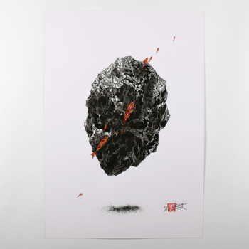 Poisson pierre #20