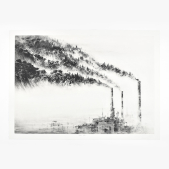 A forest