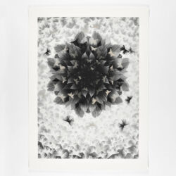 Just an illusion 2 (Silver version)