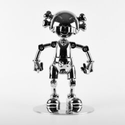 No future companion (silver chrome)