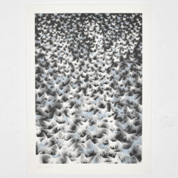 Butterfly Effect (blue version)