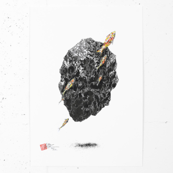 Poisson pierre #10
