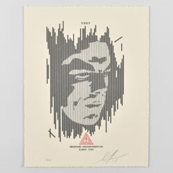 Decoding disinformation (letterpress)