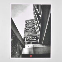 Covert to overt: peace tree (silver)