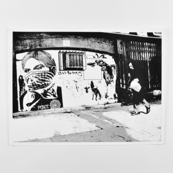 Obey / WK Delancy